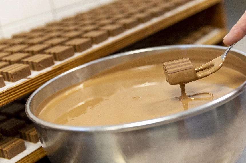 Workshops 2026 staan nu online